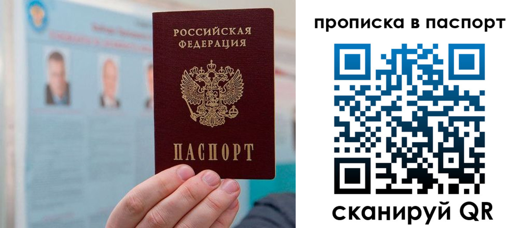 прописка гарантия в Апатитах